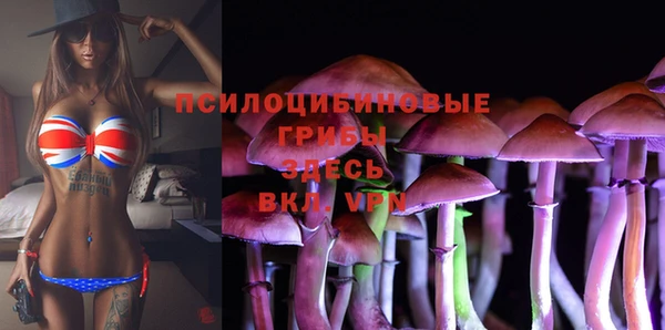 эйфоретик Баксан
