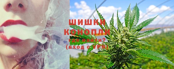 эйфоретик Баксан