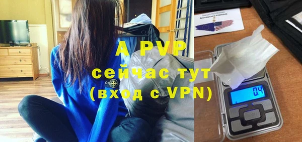 эйфоретик Баксан